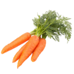 carotte-carrot-agroalimentaire-machine