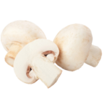 champignon-mushroom-agroalimentaire-machine
