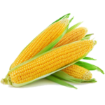 maïs-corn-agroalimentaire-machine