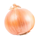 oignon-onion-agroalimentaire