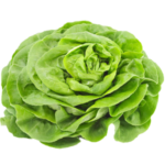 salade-salad-agroalimentaire-machine